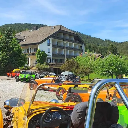 Pfeifles Hoehenhotel 酒店 *