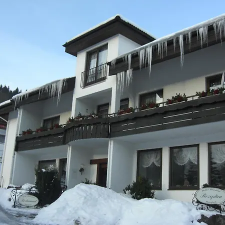 Pfeifles Hoehenhotel 酒店 拜尔斯布龙