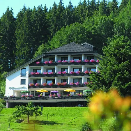Pfeifles Hoehenhotel * Baiersbronn