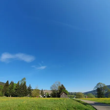 酒店 Pfeifles Hoehenhotel *