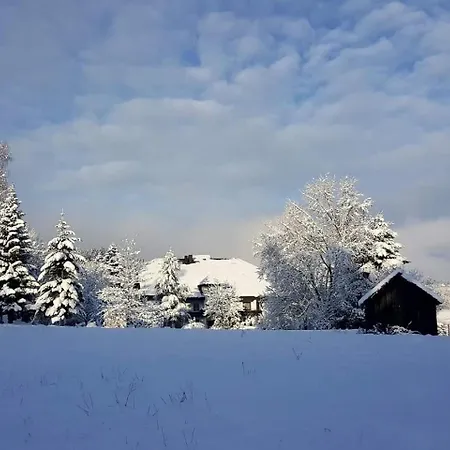 Pfeifles Hoehenhotel * 拜尔斯布龙