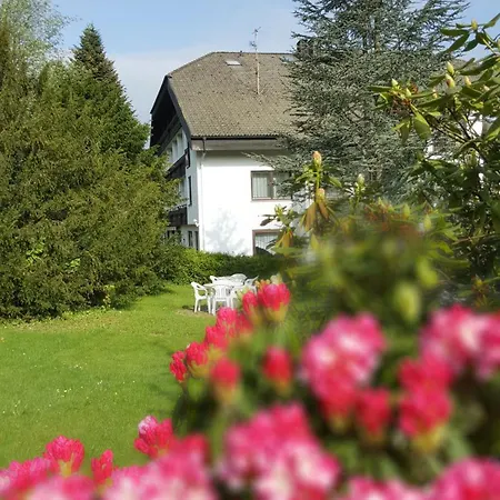 호텔 Pfeifles Hoehenhotel *