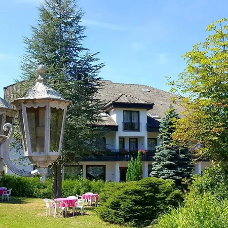 酒店 Pfeifles Hoehenhotel 拜尔斯布龙