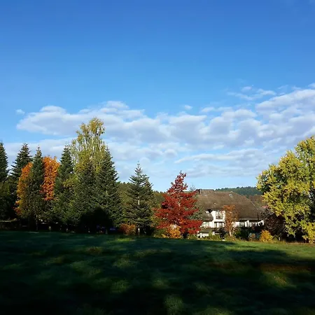 Pfeifles Hoehenhotel 호텔 *