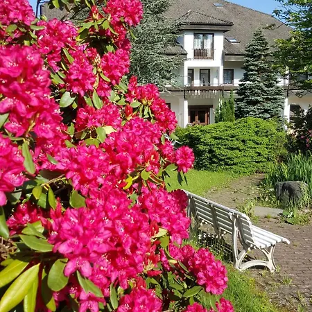 호텔 Pfeifles Hoehenhotel 바이에르스브론