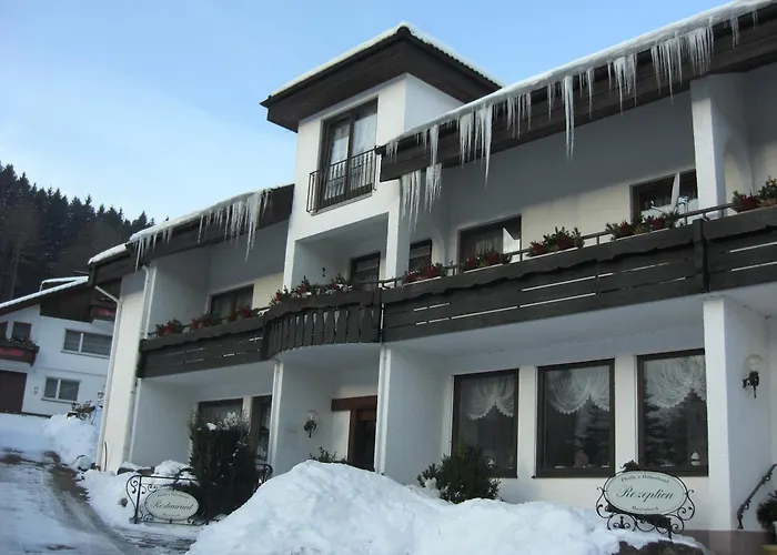 Pfeifles Hoehenhotel מלון באיירסברון