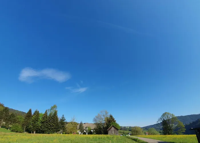 מלון Pfeifles Hoehenhotel *