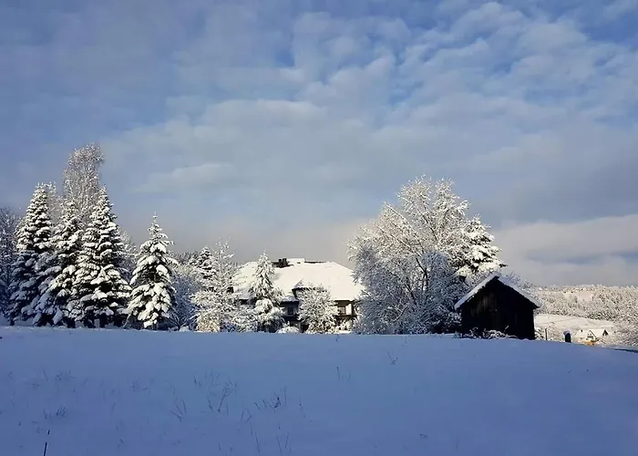 Pfeifles Hoehenhotel * באיירסברון