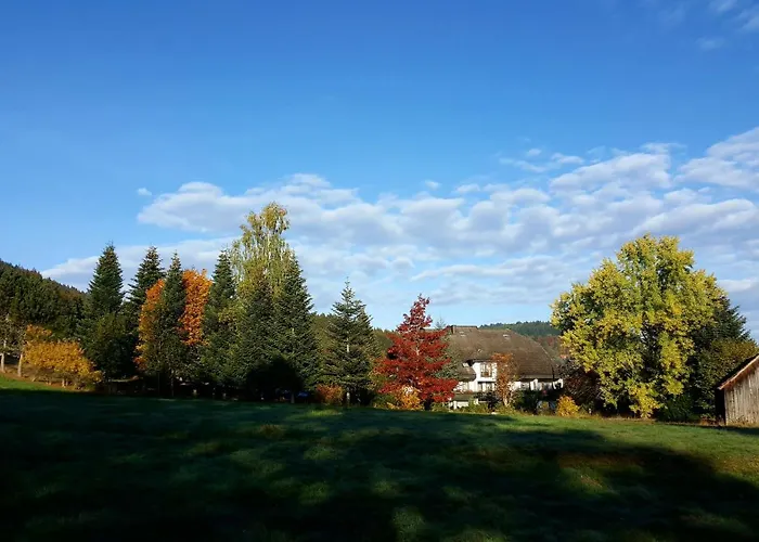 Pfeifles Hoehenhotel מלון *