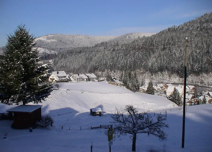 Pfeifles Hoehenhotel מלון *