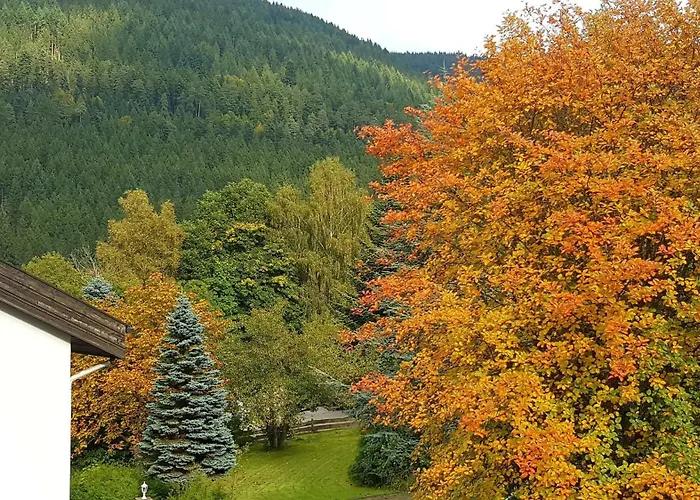 מלון Pfeifles Hoehenhotel *