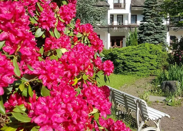 מלון Pfeifles Hoehenhotel באיירסברון